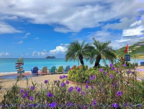 DIVI LITTLE BAY BEACH RESORT $188 ($̶3̶8̶1̶) - Updated 2024 Prices & Reviews - St Martin / St Maarten/Philipsburg Caribbean Islands Vacation, Beach Music, Caribbean Resort, St Maarten, Caribbean Island, Casino Resort, Interesting Places, St Martin, Vacation Resorts