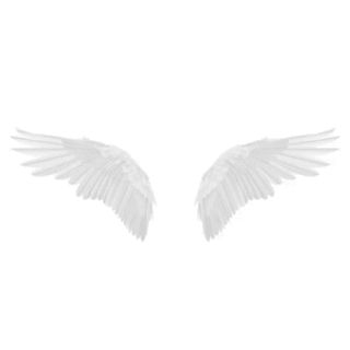 Angel Wings Gif, Angel Gif, Photoshop Templates Free, Overlays Tumblr, Glitter Gif, Gif Background, In Gif, Amazing Gifs, Overlays Picsart