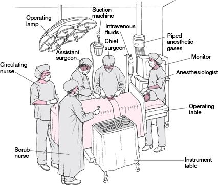 Operating Room Team: Surgeon, Assistant surgeon, Anaesthetist, Anaesthetic nurse, Scrub nurse, Circulating nurse  Theatre technician Circulating Nurse, Surgical Technologist Student, Medical Terminology Study, Perioperative Nursing, Studie Hacks, Working Room, Operating Room Nurse, Nursing Student Tips, Medical Student Motivation