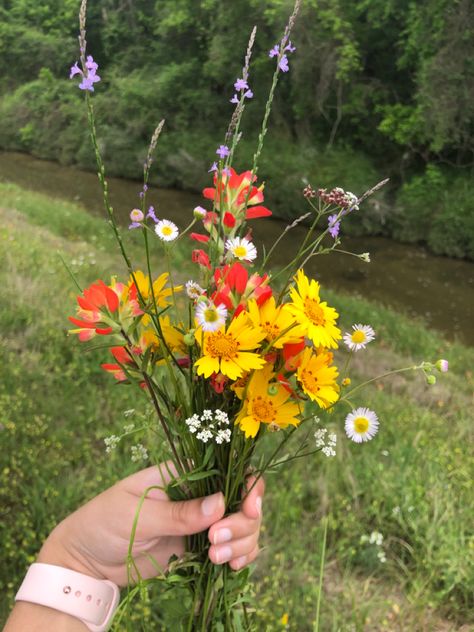 Wildflower Arrangements Simple, Colorado Wildflower Bouquet, Colorful Wildflower Bouquet, Wildflower Reference, Yellow Wildflower Bouquet, Small Wildflower Bouquet, Picked Wild Flowers, Spring Art Ideas, Wildflowers In Vase