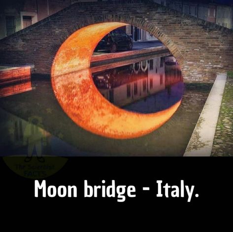 The Moon Bridge in Italy Moon Bridge, Daily Facts, Places Of Interest, Weird World, In Water, Places To See, Good Day, The Moon, Cool Pictures