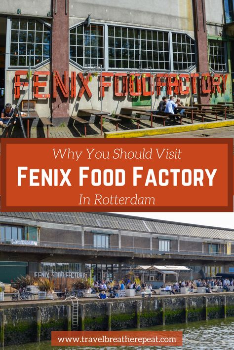 Why you should visit Fenix Food Factory in Rotterdam, the Netherlands; food markets in Rotterdam; #rotterdam #netherlands #europe #foodmarket #food #travel Rotterdam Market, Netherlands Food, Travel Netherlands, Travel Holland, Food Factory, Rotterdam Netherlands, Europe Holidays, 7 Continents, Europe Trip Itinerary