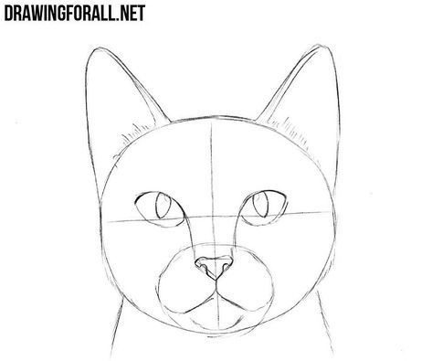 Draw Head, Cat Face Drawing, Draw A Cat, Cat Drawing Tutorial, Cats Art Drawing, Cat Anatomy, Head Drawing, Drawing Eyes, Drawing Heads