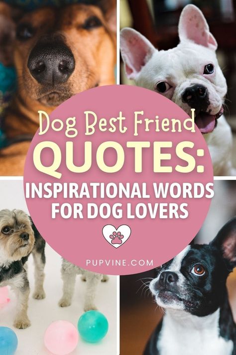 A Girl And Her Dog Quotes, Beat Friends Quotes, Dog Best Friend Quotes, Best Dog Quotes, Puppy Quotes, Dog Poems, Friend Poems, Dog Quotes Love