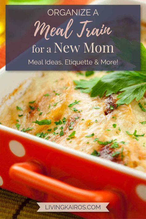 Meal Train Ideas Dinners, Boys Name Ideas, Meal Train Meals, New Mom Meals, Kid Friendly Casseroles, Meal Train Ideas, Nesting Party, Vegetarian Freezer Meals, Meals For New Moms