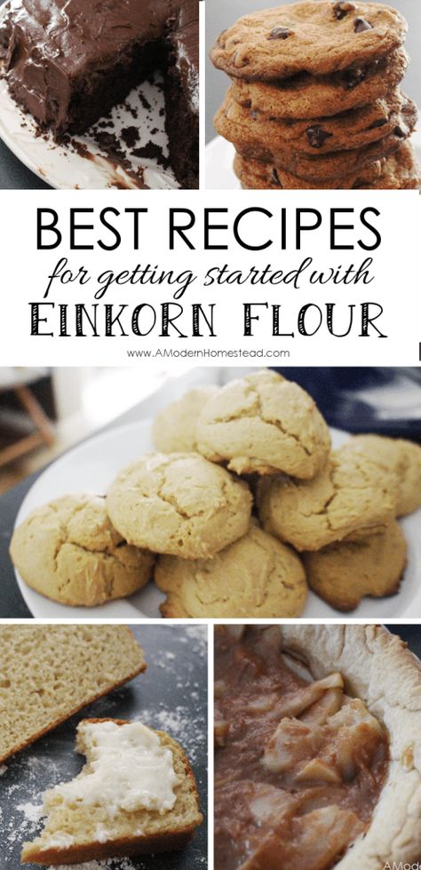 Eikorn Recipe, Einkorn Recipe, Einkorn Sourdough, Ancient Grains Recipes, Einkorn Bread, Einkorn Recipes, Health Care Tips, Grain Recipes, Einkorn Flour