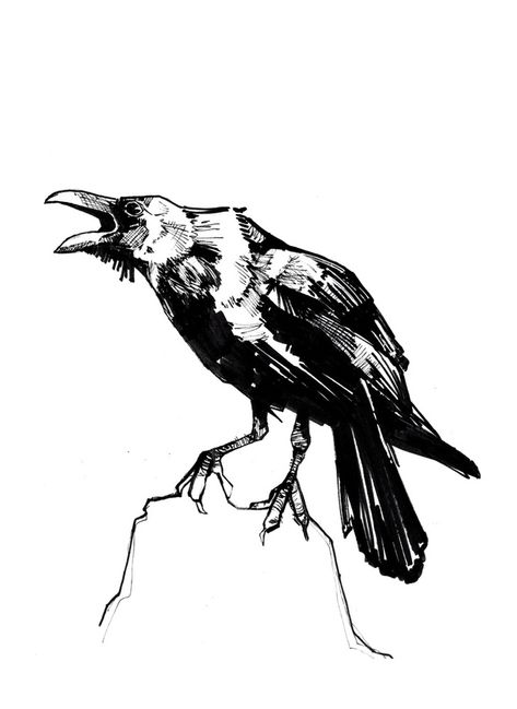 Raven Call, an art print by Crystal Smith - INPRNT - prints available  marker, felt and ink drawing of a raven or crow. #ravenart #raven #crow #crowart #inkdrawing Raven Sketch, Raven Drawing, Crow Drawing, Ink Sketching, City Portraits, Raven Pictures, Crows Drawing, Raven Bird, Crow Art