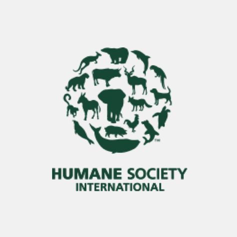 UK animal experiment statistics indicate reluctance to embrace modern tools to advance British labs into the 21st century - Humane Society International Charity Logo Design, Charity Logos, Baby Seal, Street Dogs, Stop Animal Cruelty, Animal Protection, Puppy Mills, Animal Welfare, Humane Society