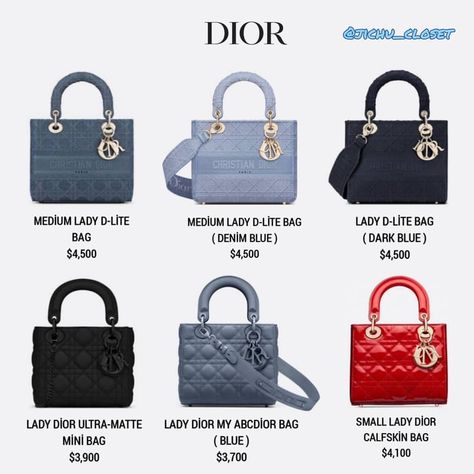 Dior Bag Collection, Jisoo Dior, Tas Lv, Luxury Bags Collection, Womens Designer Bags, Luxury Purses, Dior Handbags, Bag Collection, Pretty Bags