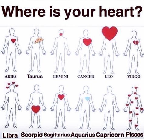 Where Is Your Heart, Horoscope Memes, Zodiac Society, Leo And Virgo, Zodiac Signs Funny, Zodiac Memes, Zodiac Star Signs, Taurus And Gemini, Zodiac Sign Facts