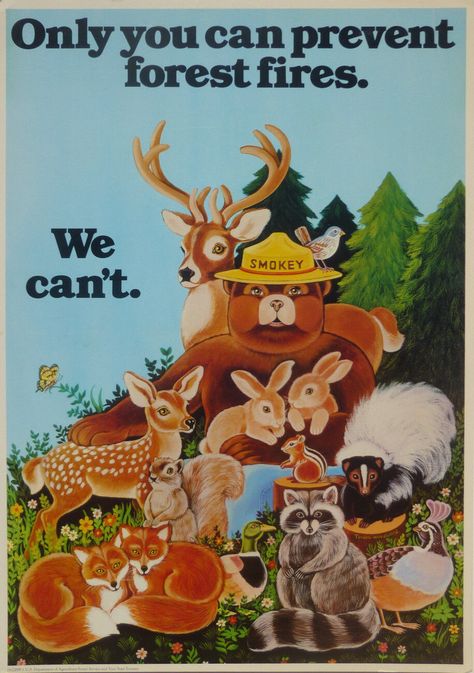 1979 Smokey the Bear Fire Prevention Poster Instagram Campaign, Bear Poster, Smokey The Bear, Smokey Bear, Smokey The Bears, Log Cabin Decor, Nature Posters, Vintage Camping, Forest Fire