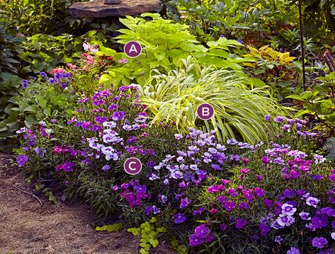 Shade Flower Garden Layout, Shade Border Plants, Backyard Gardens Flowers, Shade Walkway Landscaping, Perennials For Shaded Areas, Shaded Border Ideas, Shade Plant Combinations, Perennial Flower Border, Perennial Border Ideas