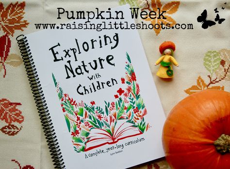 Pumpkin Nature Study, Pumpkin Pumpkin Carving, Draw A Pumpkin, Carve A Pumpkin, Carving Templates, Homeschool Nature Study, Concept Web, Pumpkin Soup Recipe, Exploring Nature