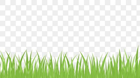 Grass Graphic Design, Rumput Png, Green Grass Png, Cartoon Grass, Grass Png, Grass Clipart, Grass Illustration, Grass Vector, Green Grass Background