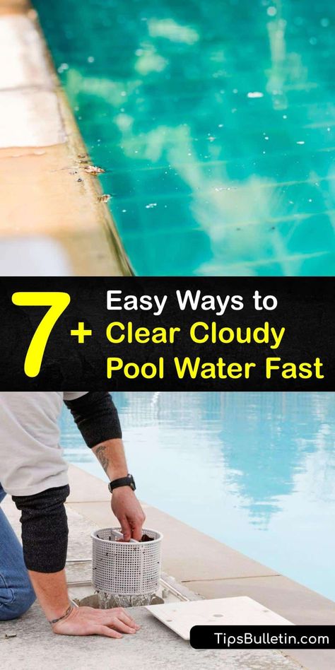 Clean Pool Water, Cloudy Pool Water, Pool Cleaning Tips, Pool Algae, Clean Pool, Cleaning Pool Filters, Metal Pool, Pool Skimmers, Swimming Pool Maintenance