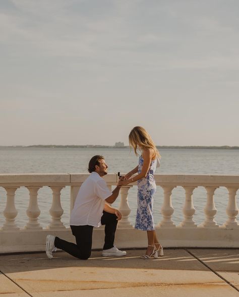 you know what makes me so happy? for one, proposals and seeing the excitement and happiness celebrating such a big moment and two, the amount of support and happiness random people have for you when they see a proposal on bayshore, people were waiting and watching this proposal with a huge smile on their face at the end of this session, someone even came up to them and had taken an iphone video and some photos so they would be able to have that right away to look back on🥹 it’s just so s... Florida Proposal, Wait And Watch, Iphone Video, Random People, Surprise Proposal, Tampa Florida, Marriage Proposals, Smile On, Elopement Photographer