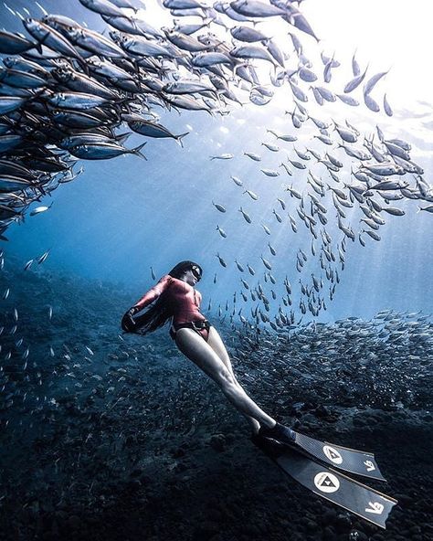 The day I stop diving will be the day I stop breathing. Freediver @mouton_yangyang Photo by @eliannedipp . . . Follow @diveandbefree for… Underwater Hair, Elba Italy, Underwater Model, Swimming Photography, Navy Diver, Skin Diving, Diving Photography, Free Dive, Underwater Pictures