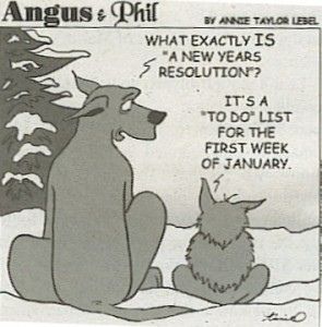 The anti-resolution list.  Come check out my yearly to-do list over at www.houseofhepworths.com New Years Resolution Funny, New Year Resolution Quotes, New Years Resolution List, Resolution Quotes, Resolution List, Quotes Arabic, Funny New Year, Year Quotes, Year Resolutions