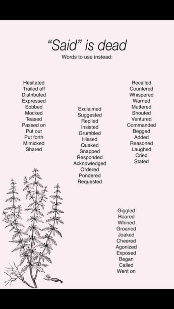Said Is Dead Writing, Said Is Dead, Writing Plot, Aspiring Author, Writing Prompts For Writers, Writing Motivation, Good Vocabulary, Words To Use, Avid Reader
