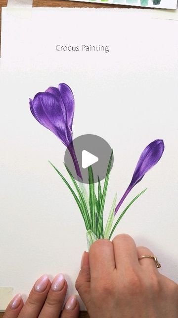 Egle Kolev • Watercolor Painting Artist and Tutor on Instagram: "A new step by step tutorial of this Crocus flower is on my Patreon, you can find the link in my bio or comment CROCUS and I will send you the link.  . . . #watercolorpainting #watercolourpainting #watercolorart #watercolor #watercolour #painting  #art #botanicalwatercolor #botanicalartist #botanical #botanicalart #botanicalillustration  #illustration  #botanicalpainting #artist #artwork #realism #artistoninstagram #watercolorpainting #watercolor.illustrations #youtuber #watercolor_guide #patreon #crocustutorial #crocuspainting #crocus #purpleflowers" Watercolor Crocus, Watercolor Realism, Watercolor Guide, New Step, Crocus Flower, Painting Artist, Wreath Watercolor, Botanical Painting, Botanical Watercolor