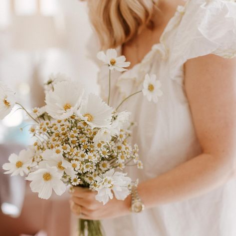 Making the final tweaks to my bridesmaid bouquets 🤍 Feverfew daisies & Cosmos on-mass, a forever favourite 🫶🏼 I so loved these moments, pottering about and tweaking the bouquets in my @ifonlyifnightwear nightie, and thankfully not photographed, white bridal crocs courtesy of my bridesmaids ✨😂 @thecurries.co Bridal Crocs, Daisy Bridesmaid Bouquet, White Cosmo, Baby Daisy, Daisy Bouquet, Bridesmaid Bouquets, White Bouquet, White Bridal, Bridesmaid Bouquet