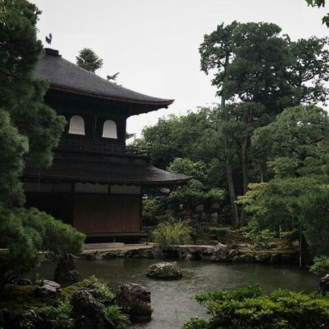 Nature And Buildings Aesthetic, Taman Vintage, Dark Naturalism, Hawaii Surf, Japan Aesthetic, Aesthetic Japan, Wow Art, Japanese Aesthetic, Ancient China