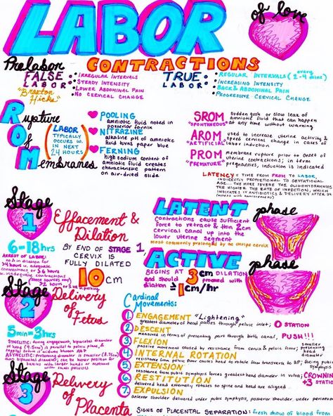 Hanson's anatomy Ob Nursing Student Cheat Sheets, Ob Nursing Student, Labor And Delivery Nursing, False Labor, Obstetrics Nursing, Midwifery Student, Nursing Cheat, Baby Delivery, Pinning Ceremony