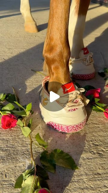 Sam Dracott on Instagram: "Level up your gift game this Valentine’s.. 👀 Unreal to collab with @horse.kicks on these custom-made trainers for horses @marcus_floyd_infinite 👟💥 tag someone who would want these 👇🏼 @buddyboxfilms 🎥 #horse #horsekicks #sneakerhead #fashion #equestrian #horses #farrier #horseriding #horsepower #sneakers" Equestrian Horses, Sneakerhead Fashion, Sneaker Head, Level Up, Equestrian, Horses, Sneakers, Instagram