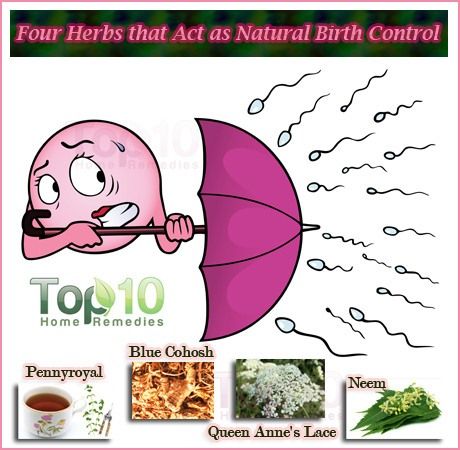 Types Of Birth Control, Natural Birth Control, Natural Family Planning, Birth Control Methods, Top 10 Home Remedies, Natural Parenting, Family Planning, Natural Birth, Diy Health