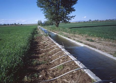 Irrigation Methods, Vertical Farming, World Water Day, Water Day, Surface Water, Water Usage, Drip Irrigation, Water Resources, Edible Garden