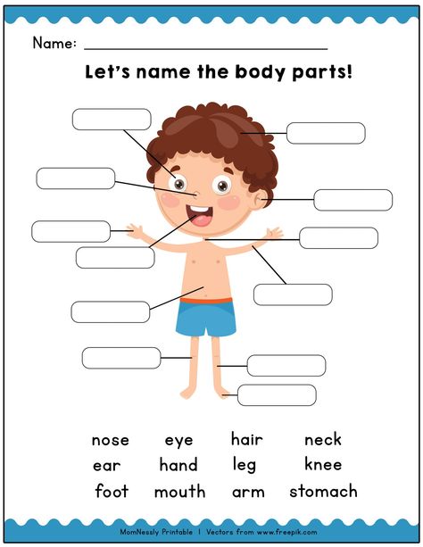 Printable: Identify the Body Parts Learning Worksheets - https://tribobot.com Body Parts Worksheet, Body Parts Preschool Activities, Body Parts For Kids, Human Body Worksheets, Body Parts Preschool, English Activities For Kids, Learning English For Kids, English Worksheets For Kids, Learning Worksheets