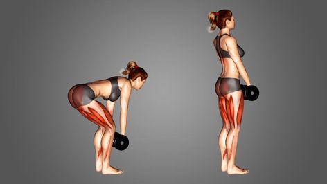 Dumbbell Deadlift Women, Dumbell Deadlift Women, Dumbell Deadlift, Fitness Era, Dumbbell Deadlift, Deadlift Women, Deadlift Variations, Hip Hinge, Romanian Deadlift