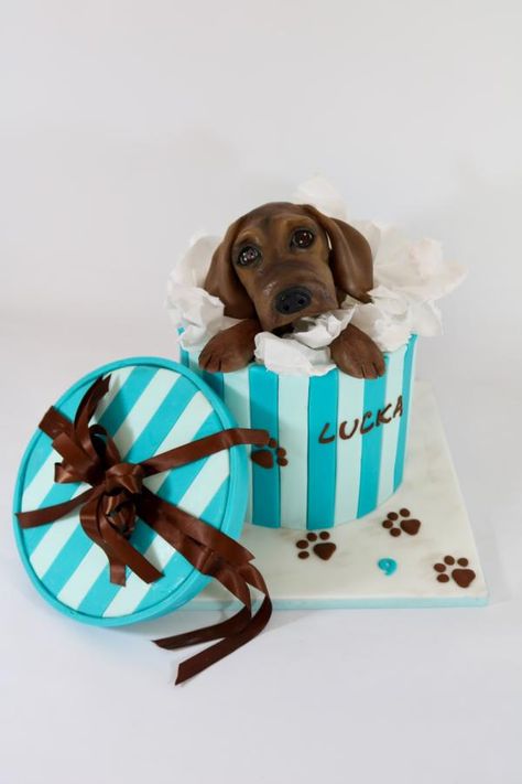 Dog in box by tomima Artistic Cake, Doll Cookies, Dog Box, B Day Cake, Dog Cakes, Animal Cakes, Fun Cakes, Biscuit Cake, Amazing Cake