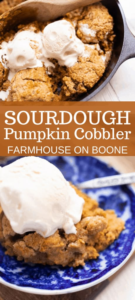 Sourdough Fall Desserts, Sourdough Cobbler, Sourdough Discard Pumpkin Scones, Sourdough Discard Pumpkin Recipe, Pumpkin Pie Sourdough, Sourdough Pumpkin Cobbler, Sourdough Pumpkin Muffins Farmhouse On Boone, Farmhouse On Boone Sourdough, Sourdough Biscuits