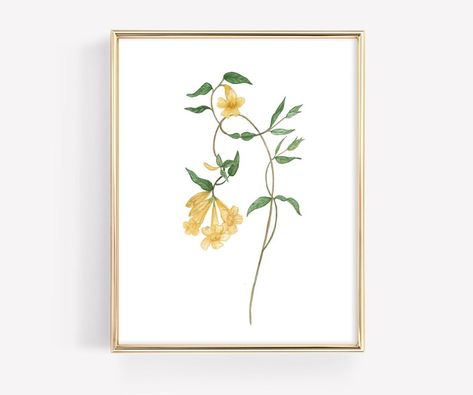 Yellow Jessamine Art Print Wildflower Art Print Giclée Fine - Etsy Jessamine Flower, Art For Gallery Wall, Yellow Jessamine, Wildflower Watercolor, Flower Art Print, Vintage Botanical Prints, Print Painting, Farmhouse Art, Butterfly Painting