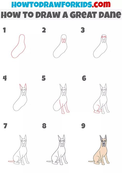 How to Draw a Great Dane - Easy Drawing Tutorial For Kids How To Draw A Great Dane, Great Dane Drawing Easy, Great Dane Drawing, Ancient Rome Projects, Sketchbook Diary, Sketching Tips, Easy Doodle, Draw Animals, Drawing Lesson