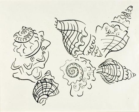 Line Shell Tattoo, Sandcastle Drawing, Shell Line Drawing, Exploring Drawing, Bathroom Sketch, Walter Anderson, Shell Tattoo, Petit Tattoo, Charcoal Drawings