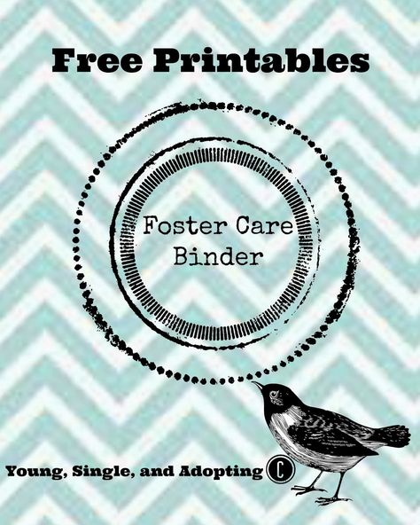 Young, Single, And Adopting: Foster Care Binder Foster Care Binder, Becoming A Foster Parent, Adoption Resources, Foster Baby, Foster Kids, Foster Adoption, Foster Parent, Foster Care Adoption, Foster To Adopt