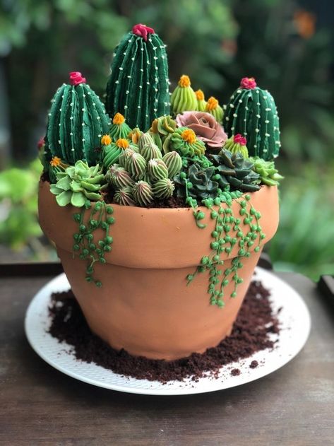 Plant Cakes Ideas, Succulent Cakes, Succulent Cupcakes, Succulent Cake, Cactus Cake, Pot Cakes, Garden Cakes, Sculpted Cakes, Cute Baking