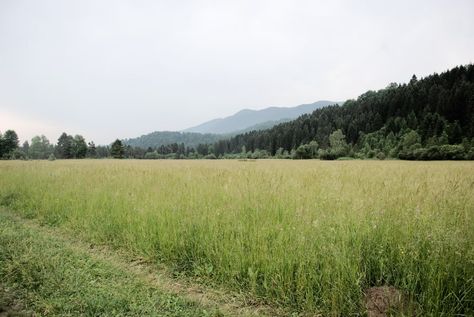 field of green grasses within mountain range during daytime photo – Free Image on Unsplash Rural Land, Eco Friendly Cars, Eco Friendly Cleaning Products, Free High Resolution Photos, Eco Friendly Baby, Land Of The Free, Green Lifestyle, Simple Green, How To Buy Land