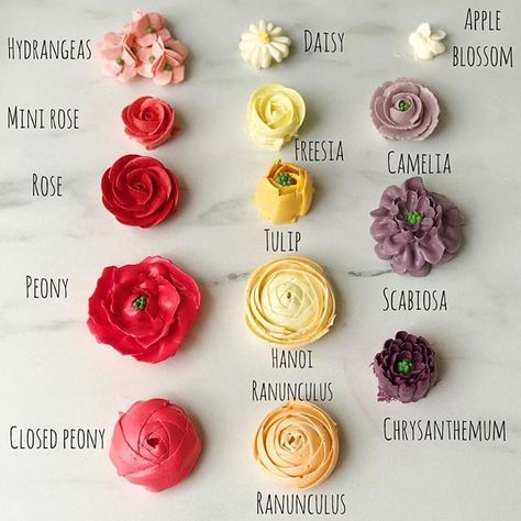 Love this floral chart from @mysisterbakes #buttercream Frosting Flowers, Cactus Cake, Frosting Techniques, Buttercream Flower Cake, Icing Flowers, Torte Cupcake, Buttercream Flower, Gateaux Cake, Flower Cupcakes