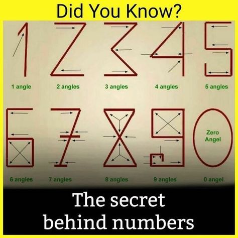 Psychological Facts Interesting, Interesting Science Facts, True Interesting Facts, Interesting Facts About World, Cool Science Facts, Amazing Facts For Students, Amazing Science Facts, Basic Math Skills, Psychology Fun Facts