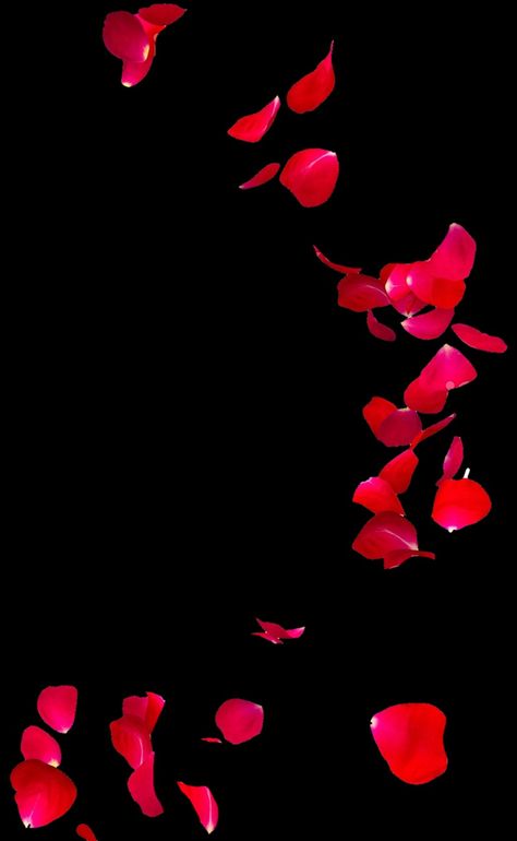 Rose Petals Background, Chinese Frame, Hd Dark Wallpapers, Dj Images Hd, Science Background, App Background, Aesthetic Roses, Best Photo Background, Blur Background In Photoshop