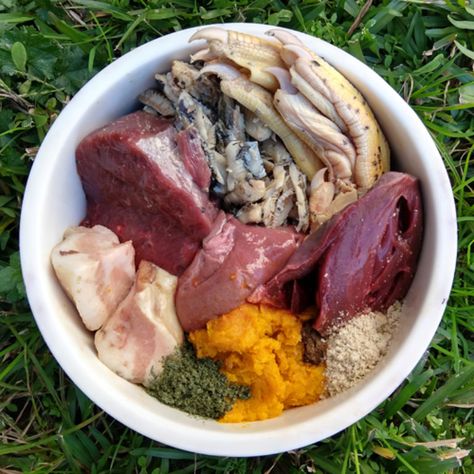 Biologically Appropriate Raw Food (BARF) for Puppes, Raw Diet Types Low Purine Diet, Purine Diet, Dog Raw Diet, Fermented Vegetables, Natural Dog Food, Fat Soluble Vitamins, Raw Dog Food Recipes, Raw Diet, Raw Food Diet