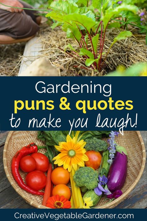 Gardening can be challenging. Here are some gardening puns and gardening quotes to keep you healthy and spiritually fulfilled. Veggie Quotes, Gardening Quotes Inspirational, Vegetables Quote, Puns Quotes, Garden Puns, Vegetable Puns, Vegtable Garden, Hilarious Puns, Gardening Quotes