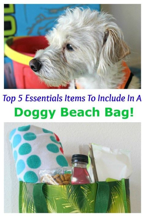 Do you enjoy taking your dog to the beach?  Check out these 5 Essentials Items To Put In A Doggy Beach Bag before you go!  Your pet will never be happier.  #PawsToSavor AD Summer Activities For Dogs, Dog Beach Essentials, Dog Life Hacks, Beach Dogs, Dachshund Training, Dog Friendly Beach, Animal Babies, Beach Necessities, Beach Packing