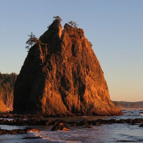 Hoh River Trail - All You Need to Know BEFORE You Go (2024) Rialto Beach, Olympic National Park Washington, Hiking National Parks, River Trail, Olympic National Park, Group Tours, Pacific Coast, Day Tours, Bike Ride