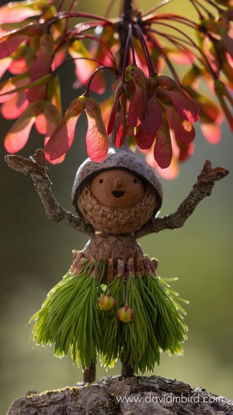 Becorns Instagram Feed – David M Bird Acorn People, Acorn Crafts, Fairy Garden Crafts, Holiday Events, So Busy, Summer Projects, The Good News, Fall Pictures, My Summer