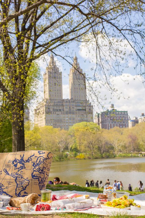 Central Park Picnic New York Facts, Central Park Aesthetic, Picnic In Central Park, Central Park Picnic, Summer In Nyc, Park Picnic, Nyc Lifestyle, Picnic Inspiration, Nyc Summer