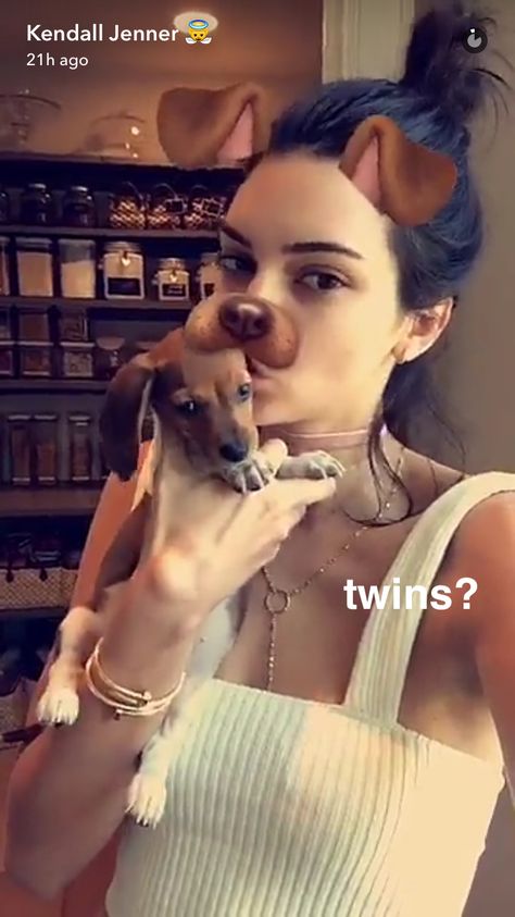 @gillianvidegar Kendall Jenner Snapchat, Kendall Jenner Photos, Kendall And Kylie, Future Life, Kendall Jenner, Labrador Retriever, Snapchat, Dogs, Labrador